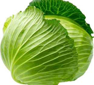 Cabbage