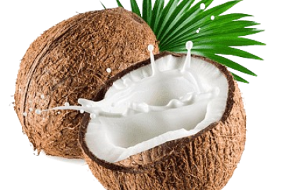 Coconut