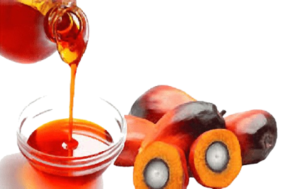 Oil Palm