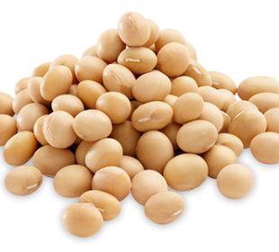 Soyabeans